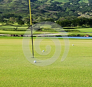 Golf field