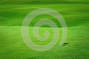 Golf field with a ball hole