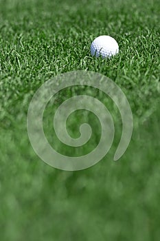 Golf field and golfball