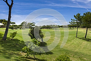 Golf field in the Vilamoura, Portugal photo