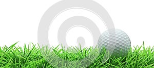 Golf grass