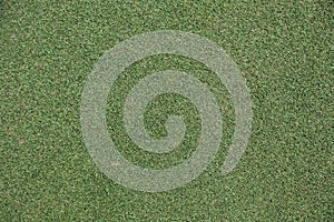 Golf grass