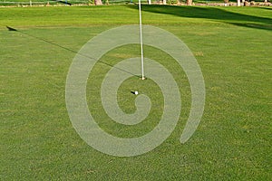 Golf Green A Ball Close To The Flag And Hole