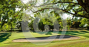 Golf green and bunker