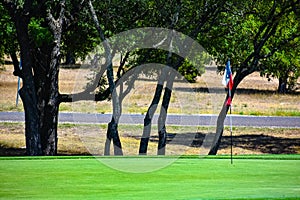 Golf Green in Central Texas lined with Trees with a lonestar Texas flag as golf flag