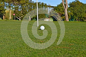 A Golf Green - Close Up Of Ball
