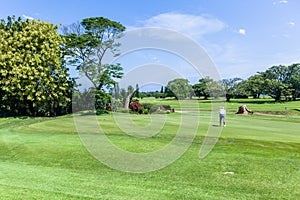 Golf Green Flag Hole Player Scenic Course