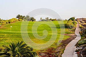 Golf Green Grass Fiel