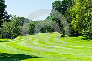 Golf Course Dogleg Fairway Trees photo