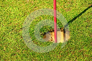 Golf hole flag detail