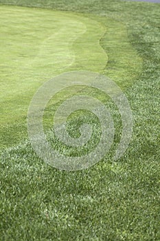 Golf hole on putting green