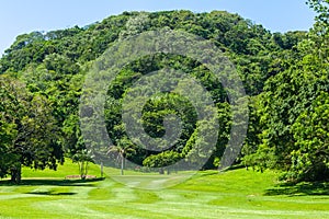 Golf Hole Trees Green Scenic Course