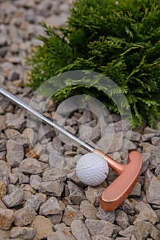 golf mallet on the green, artificial turf