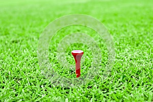 Golf pegs on a tee in green grass course