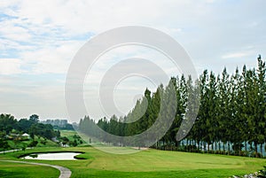 Golf place with green grass