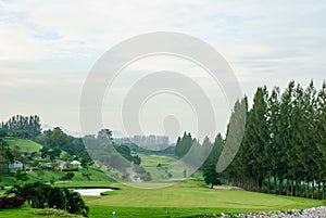 Golf place with green grass