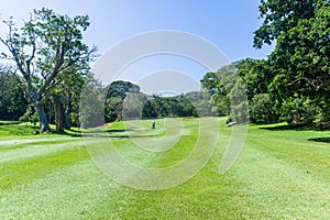 Golf Player Walking Fairway Scenic Course