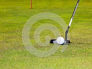 Golf: putter club with white golf ball
