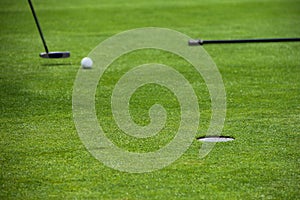 Golf putting on green