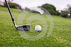 Golf stick and ball on green grass