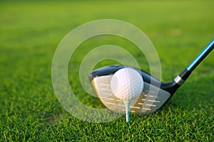 Golf tee ball club driver in green grass course photo