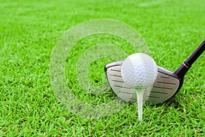 golf tee ball club driver in green grass course preparing to shot