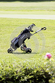 Golfbag on a golf course in summer