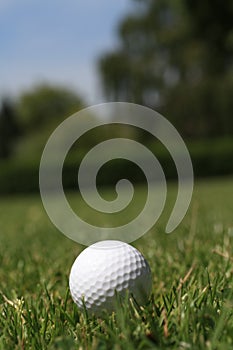 Golfball in grass