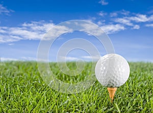 Golfball on the grass.