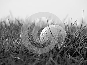 Golfball in grass