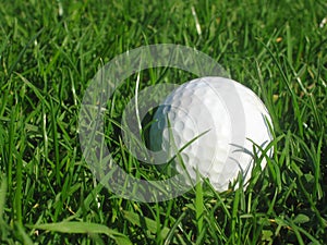 Golfball in grass