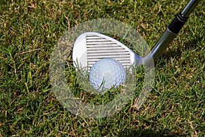 Golfball in the rough