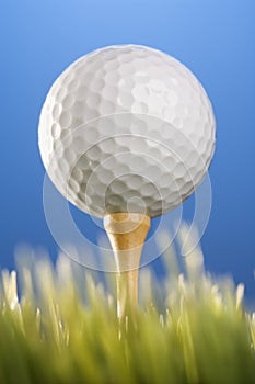 Golfball on a tee in grass.