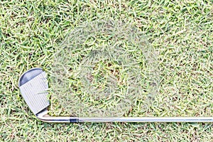 golfclub on grass. photo