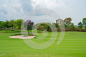 Golfcourse, Beautiful landscape of a golf court with trees and green grass