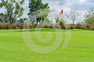 Golfcourse, Beautiful landscape of a golf court with trees and green grass