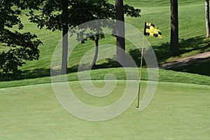 Golfcourse Fairway Flag on Green