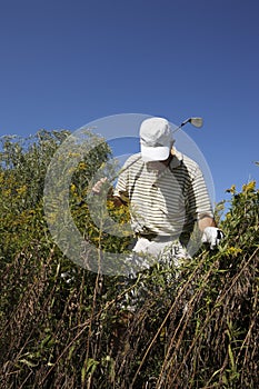 Golfer