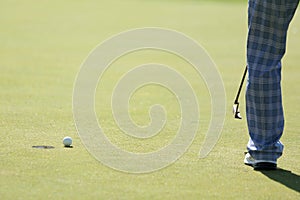 A golfer does the putting to a hole photo