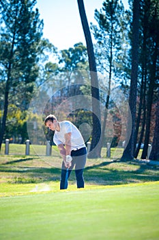 Golfer playing a chip shot onto the green