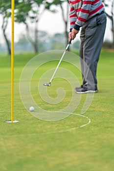 Golfer preparing for a putt Golf ball on the green during golfcourse