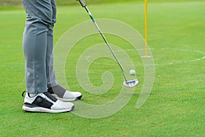 Golfer preparing for a putt Golf ball on the green during golfcourse