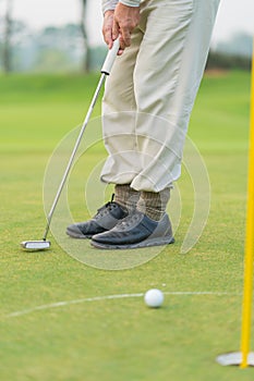 Golfer preparing for a putt Golf ball on the green during golfcourse