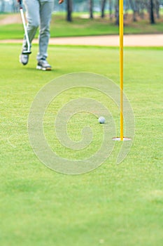 Golfer preparing for a putt Golf ball on the green during golfcourse