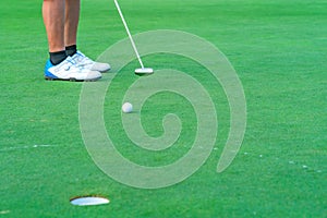 Golfer preparing for a putt Golf ball on the green during golfcourse