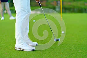 Golfer preparing for a putt Golf ball on the green during golfcourse