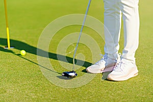 Golfer preparing for a putt Golf ball on the green during golfcourse