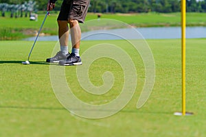 Golfer preparing for a putt Golf ball on the green during golfcourse