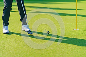 Golfer preparing for a putt Golf ball on the green during golfcourse