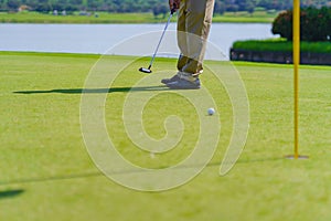 Golfer preparing for a putt Golf ball on the green during golfcourse